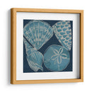 Conchas Marinas Iv - Chariklia Zarris | Cuadro decorativo de Canvas Lab