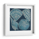 Conchas Marinas Iv - Chariklia Zarris | Cuadro decorativo de Canvas Lab