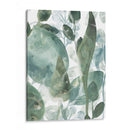 Hojas Acuáticas Iv - June Erica Vess | Cuadro decorativo de Canvas Lab
