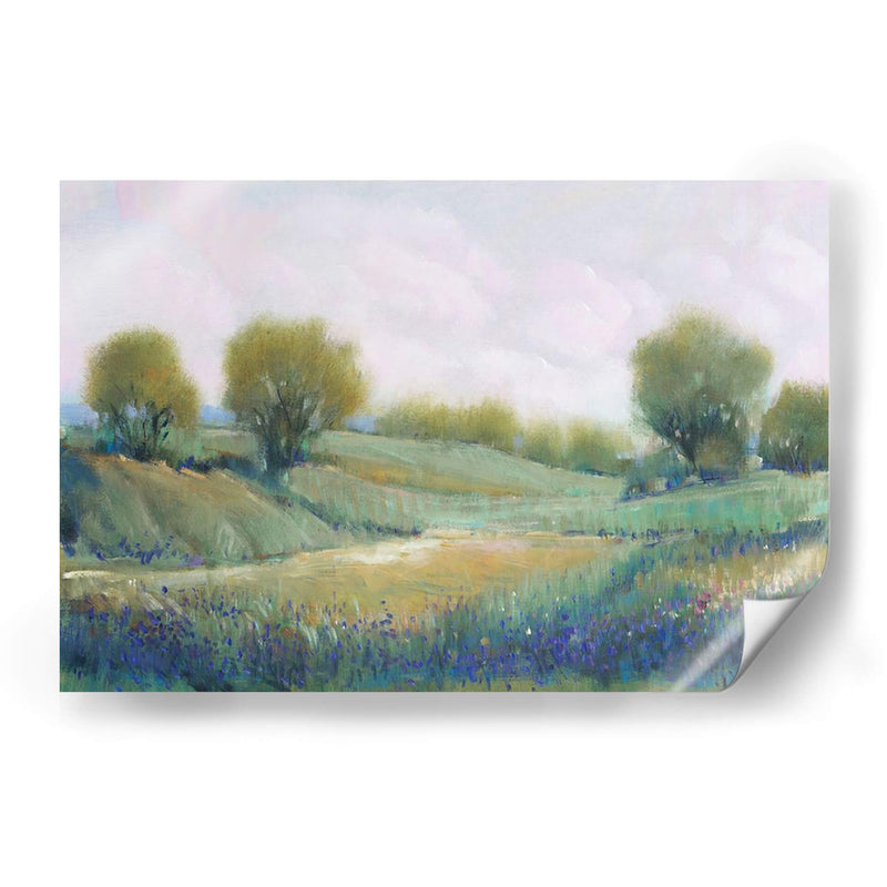 Paysage I - Tim OToole | Cuadro decorativo de Canvas Lab