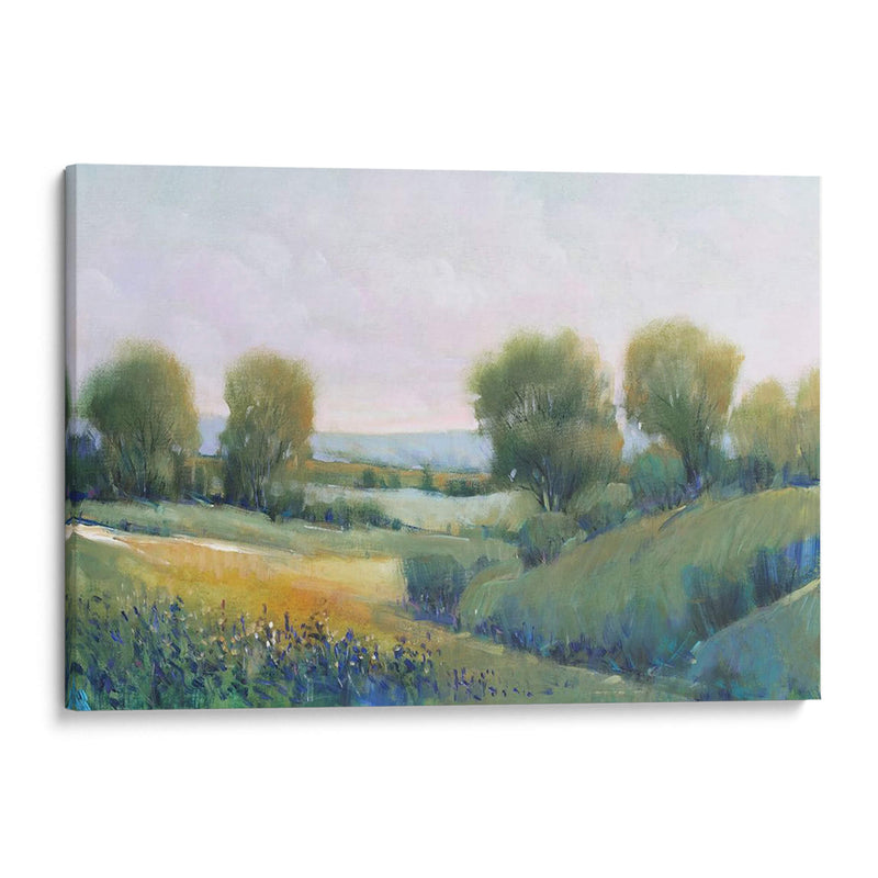 Paysage Ii - Tim OToole | Cuadro decorativo de Canvas Lab