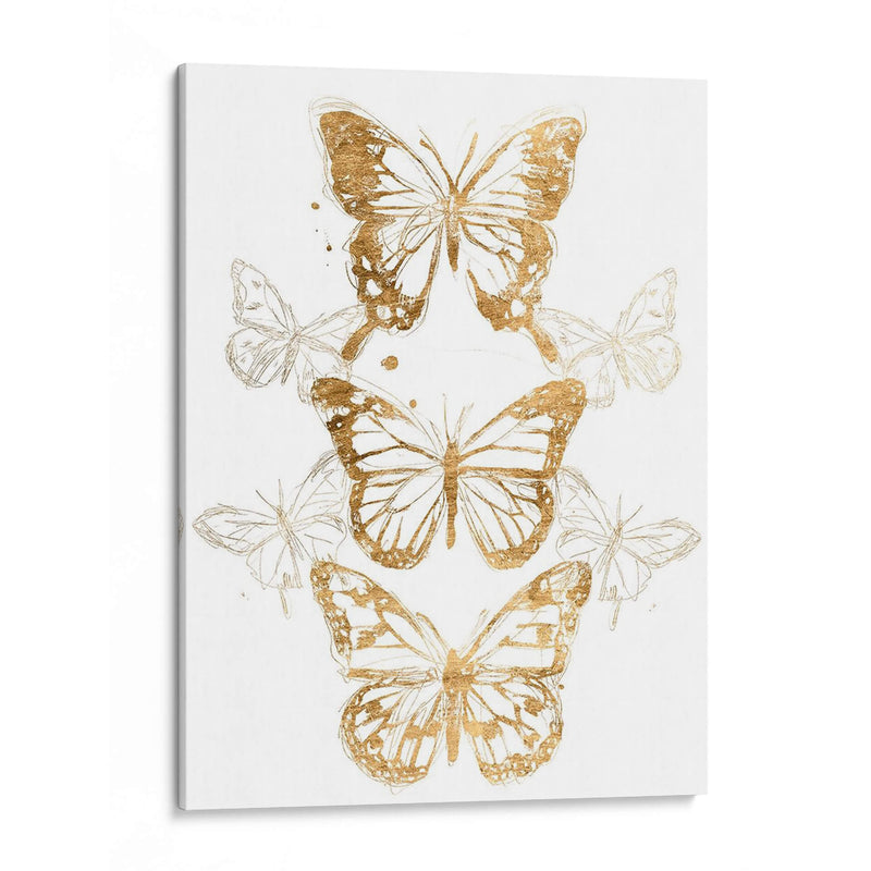 Contornos De Mariposa De Oro I - June Erica Vess | Cuadro decorativo de Canvas Lab
