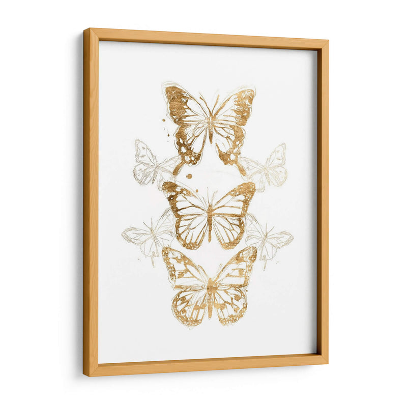 Contornos De Mariposa De Oro I - June Erica Vess | Cuadro decorativo de Canvas Lab