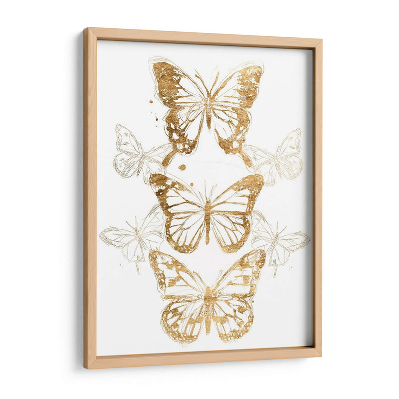 Contornos De Mariposa De Oro I - June Erica Vess | Cuadro decorativo de Canvas Lab
