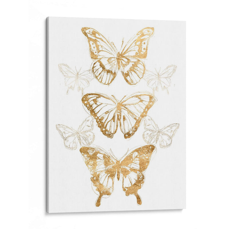 Contornos De Mariposa De Oro Ii - June Erica Vess | Cuadro decorativo de Canvas Lab