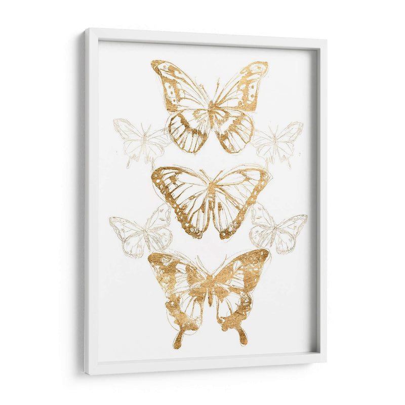 Contornos De Mariposa De Oro Ii - June Erica Vess | Cuadro decorativo de Canvas Lab