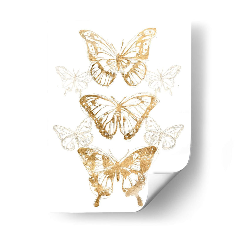 Contornos De Mariposa De Oro Ii - June Erica Vess | Cuadro decorativo de Canvas Lab