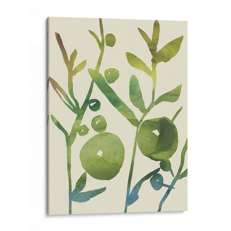 Sprig Sprig I - Chariklia Zarris | Cuadro decorativo de Canvas Lab