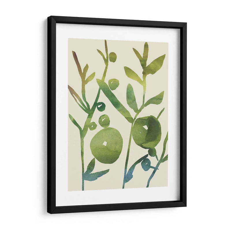 Sprig Sprig I - Chariklia Zarris | Cuadro decorativo de Canvas Lab