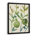 Sprig Sprig I - Chariklia Zarris | Cuadro decorativo de Canvas Lab