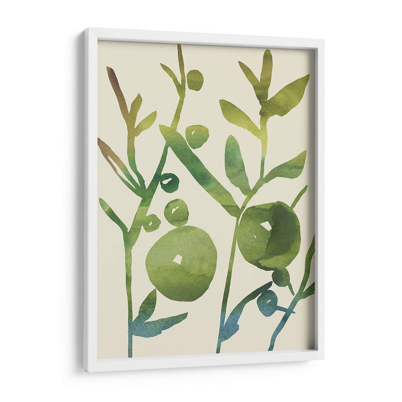 Sprig Sprig I - Chariklia Zarris | Cuadro decorativo de Canvas Lab