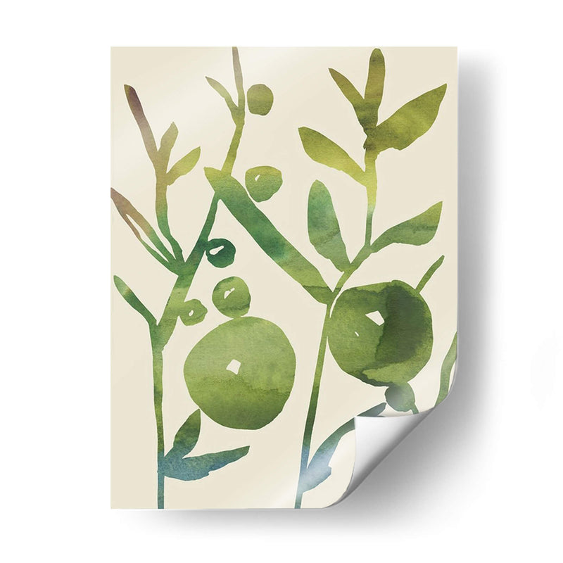 Sprig Sprig I - Chariklia Zarris | Cuadro decorativo de Canvas Lab