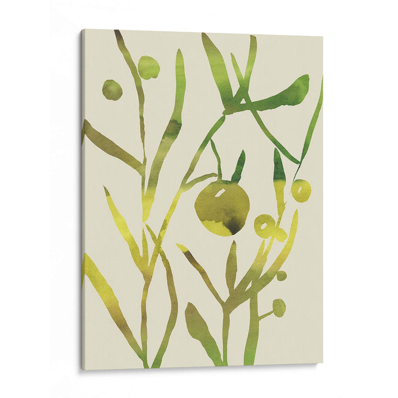 Sprig Sprig Ii - Chariklia Zarris | Cuadro decorativo de Canvas Lab