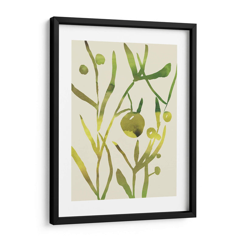 Sprig Sprig Ii - Chariklia Zarris | Cuadro decorativo de Canvas Lab