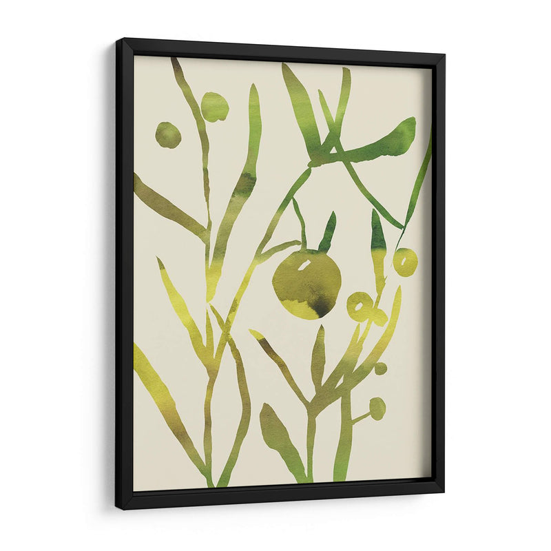 Sprig Sprig Ii - Chariklia Zarris | Cuadro decorativo de Canvas Lab