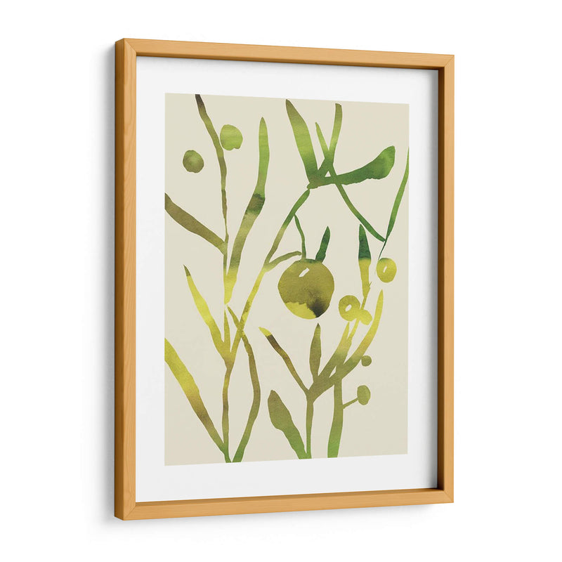 Sprig Sprig Ii - Chariklia Zarris | Cuadro decorativo de Canvas Lab