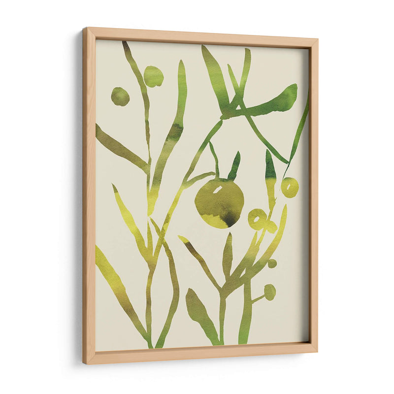 Sprig Sprig Ii - Chariklia Zarris | Cuadro decorativo de Canvas Lab