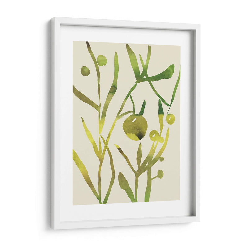 Sprig Sprig Ii - Chariklia Zarris | Cuadro decorativo de Canvas Lab