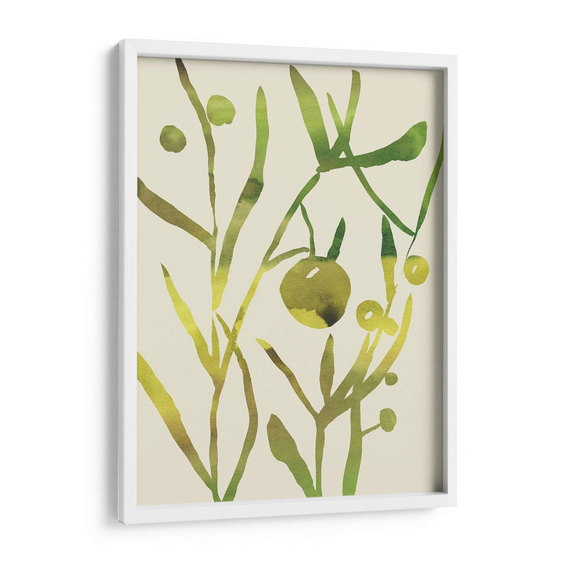 Sprig Sprig Ii - Chariklia Zarris | Cuadro decorativo de Canvas Lab