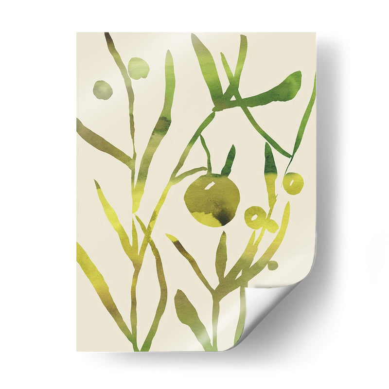 Sprig Sprig Ii - Chariklia Zarris | Cuadro decorativo de Canvas Lab