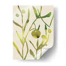 Sprig Sprig Ii - Chariklia Zarris | Cuadro decorativo de Canvas Lab