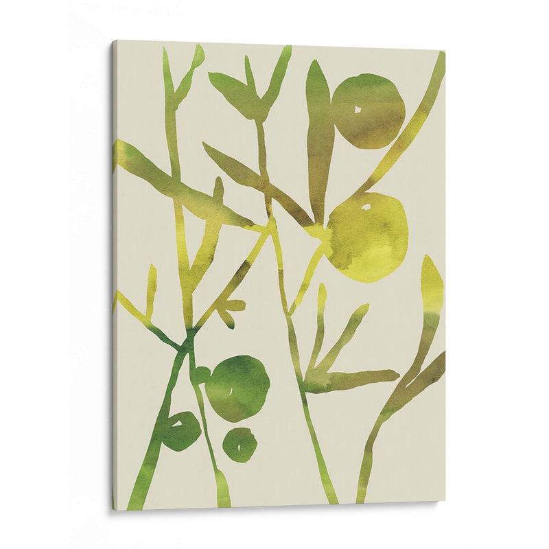 Sprig Sprig Iii - Chariklia Zarris | Cuadro decorativo de Canvas Lab