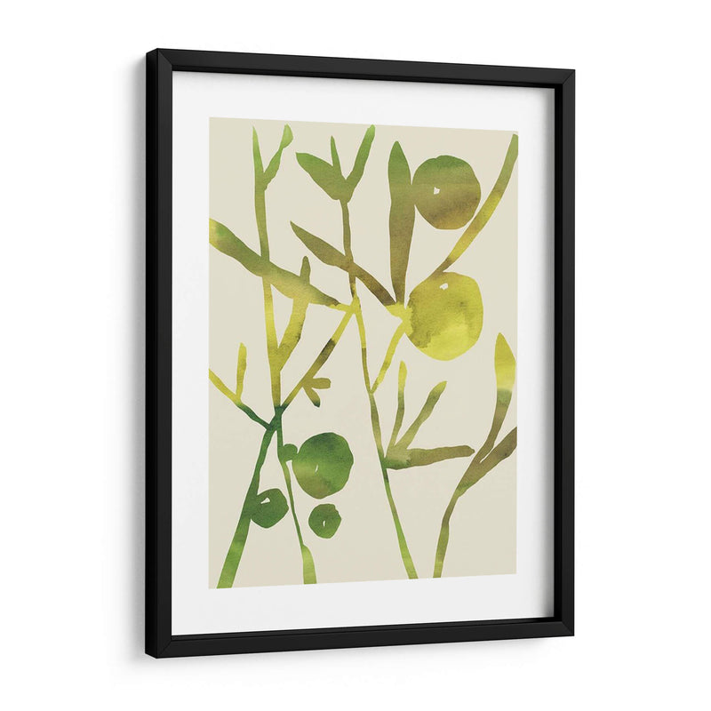 Sprig Sprig Iii - Chariklia Zarris | Cuadro decorativo de Canvas Lab