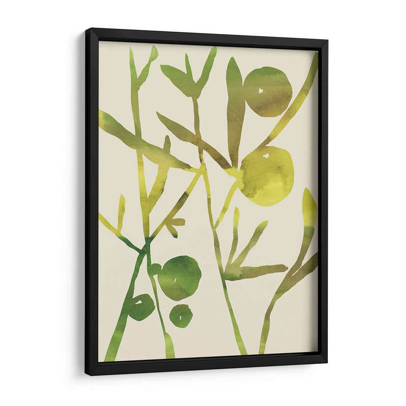 Sprig Sprig Iii - Chariklia Zarris | Cuadro decorativo de Canvas Lab