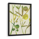 Sprig Sprig Iii - Chariklia Zarris | Cuadro decorativo de Canvas Lab