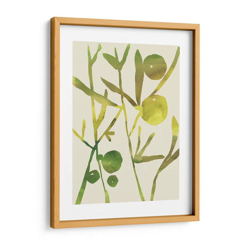 Sprig Sprig Iii - Chariklia Zarris | Cuadro decorativo de Canvas Lab