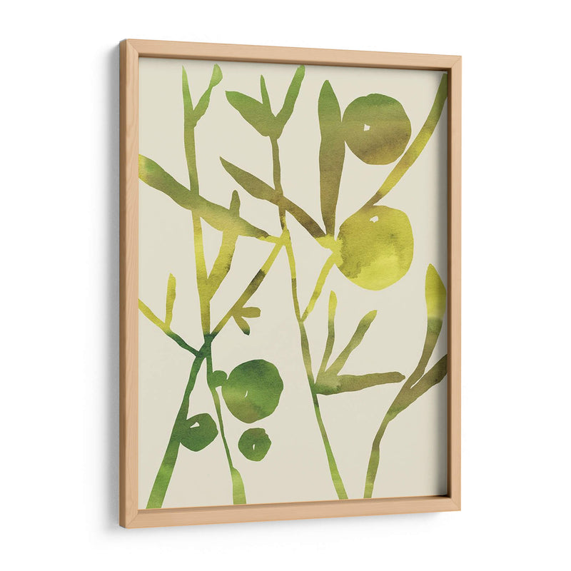 Sprig Sprig Iii - Chariklia Zarris | Cuadro decorativo de Canvas Lab