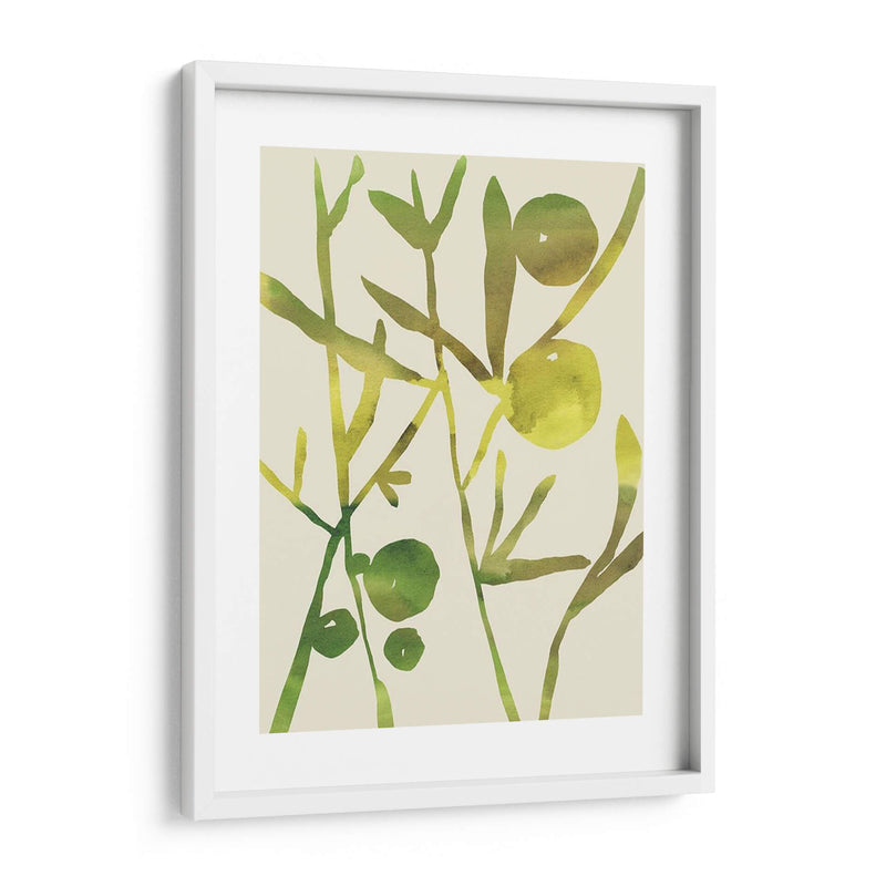 Sprig Sprig Iii - Chariklia Zarris | Cuadro decorativo de Canvas Lab