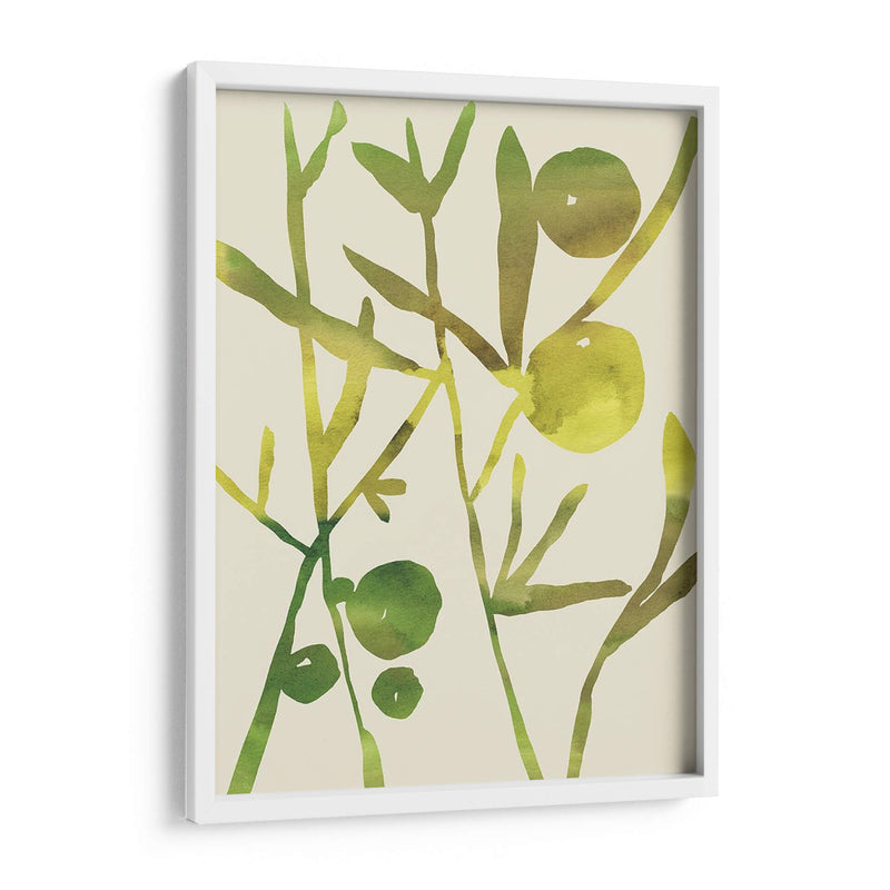 Sprig Sprig Iii - Chariklia Zarris | Cuadro decorativo de Canvas Lab