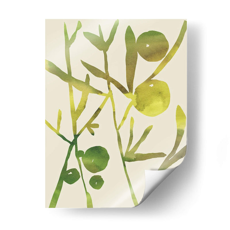 Sprig Sprig Iii - Chariklia Zarris | Cuadro decorativo de Canvas Lab