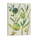 Sprig Sprig Iv - Chariklia Zarris | Cuadro decorativo de Canvas Lab