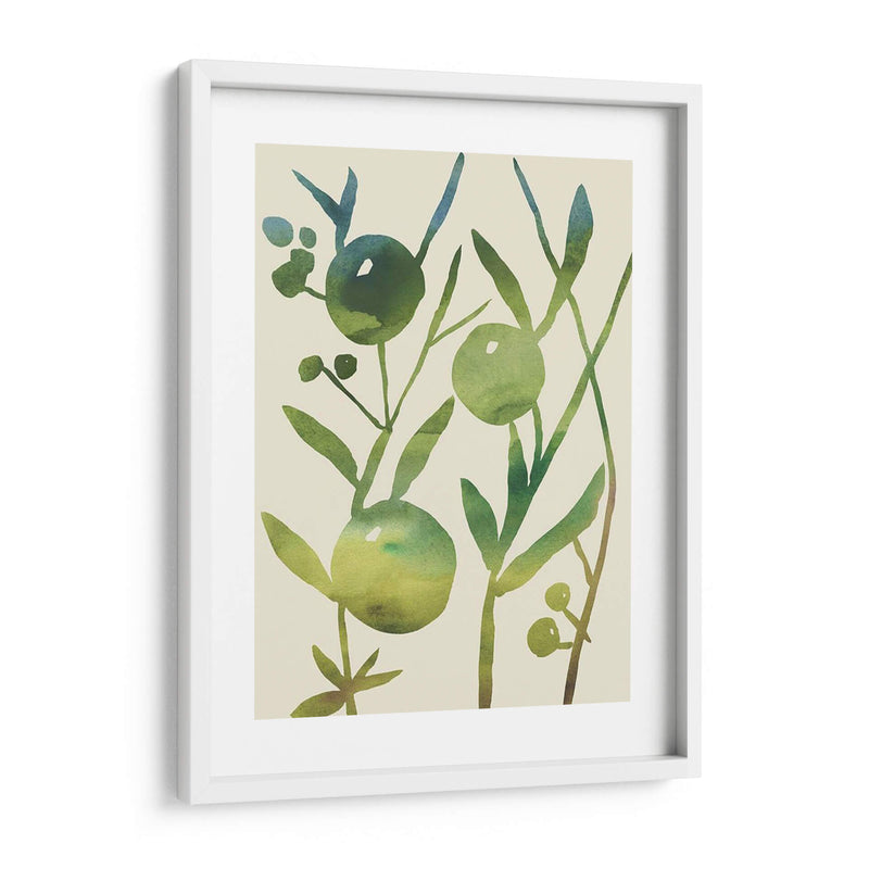 Sprig Sprig Iv - Chariklia Zarris | Cuadro decorativo de Canvas Lab