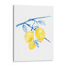 Cobalto Limon I - Grace Popp | Cuadro decorativo de Canvas Lab