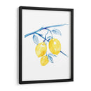 Cobalto Limon I - Grace Popp | Cuadro decorativo de Canvas Lab