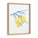 Cobalto Limon I - Grace Popp | Cuadro decorativo de Canvas Lab