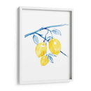 Cobalto Limon I - Grace Popp | Cuadro decorativo de Canvas Lab