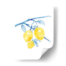 Cobalto Limon I - Grace Popp | Cuadro decorativo de Canvas Lab