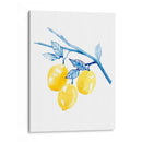 Cobalt Limon Ii - Grace Popp | Cuadro decorativo de Canvas Lab