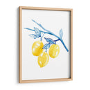 Cobalt Limon Ii - Grace Popp | Cuadro decorativo de Canvas Lab