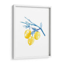 Cobalt Limon Ii - Grace Popp | Cuadro decorativo de Canvas Lab