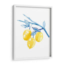 Cobalt Limon Ii - Grace Popp | Cuadro decorativo de Canvas Lab