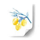 Cobalt Limon Ii - Grace Popp | Cuadro decorativo de Canvas Lab