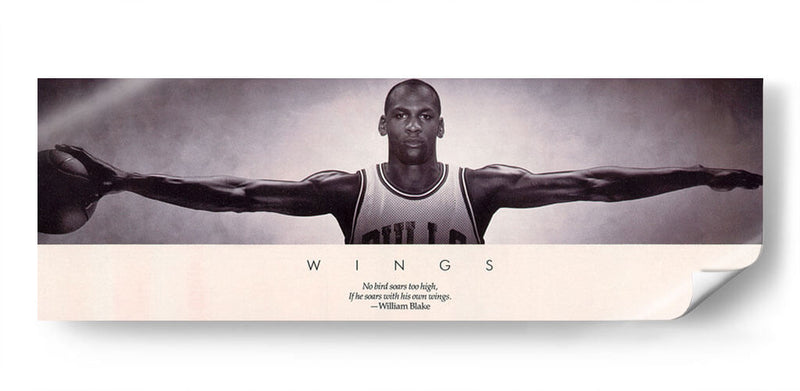 Jordan Wings | Cuadro decorativo de Canvas Lab