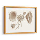 Sepia Agua Lirio Yo - Vision Studio | Cuadro decorativo de Canvas Lab