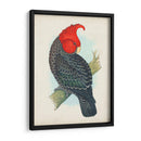 Cockatoo Antiguo I | Cuadro decorativo de Canvas Lab
