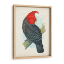 Cockatoo Antiguo I | Cuadro decorativo de Canvas Lab